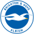 Brighton & Hove Albion Football Club